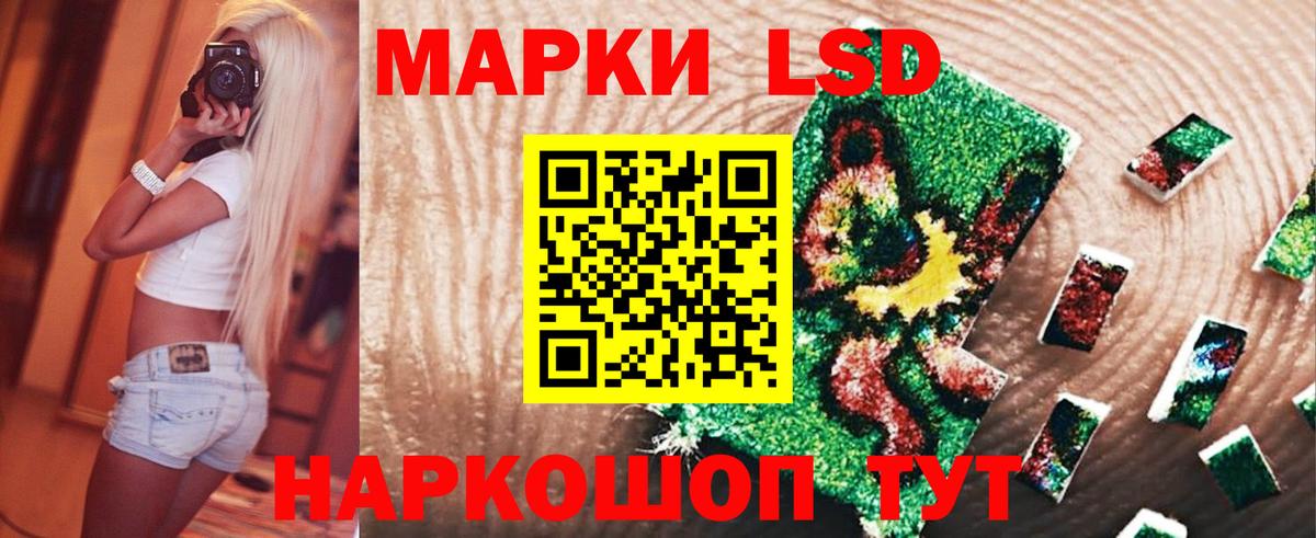 LSD-25 экстази ecstasy  Вход с VPN  Курчалой  LSD-25 экстази кислота 