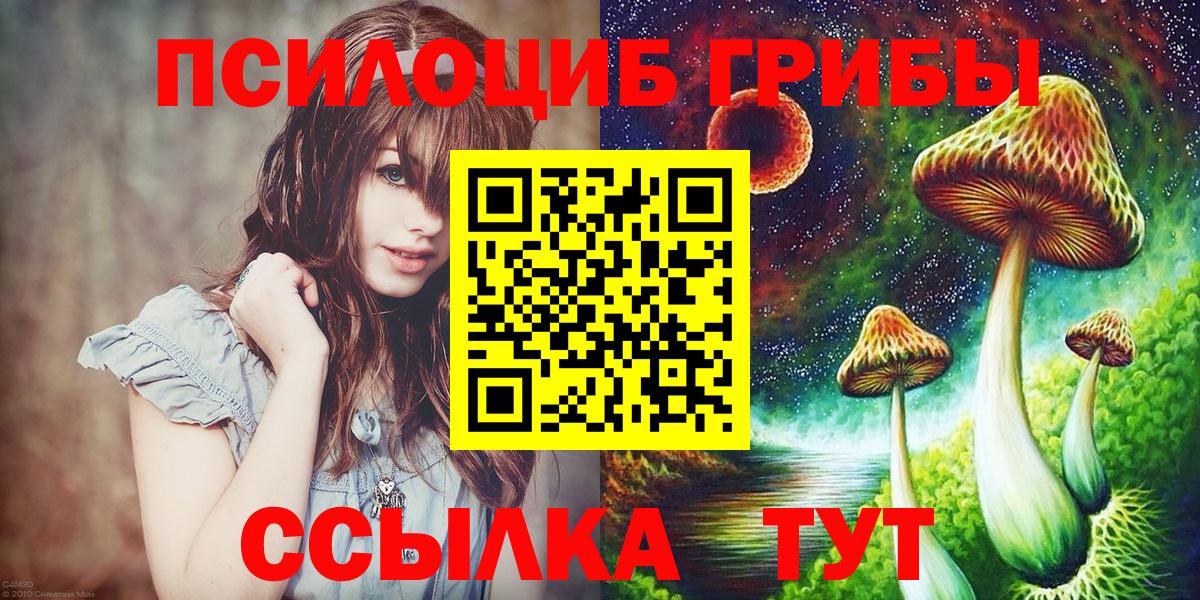 Псилоцибиновые грибы Psilocybe  Вход с VPN  Псилоцибиновые грибы мухоморы  Курчалой 