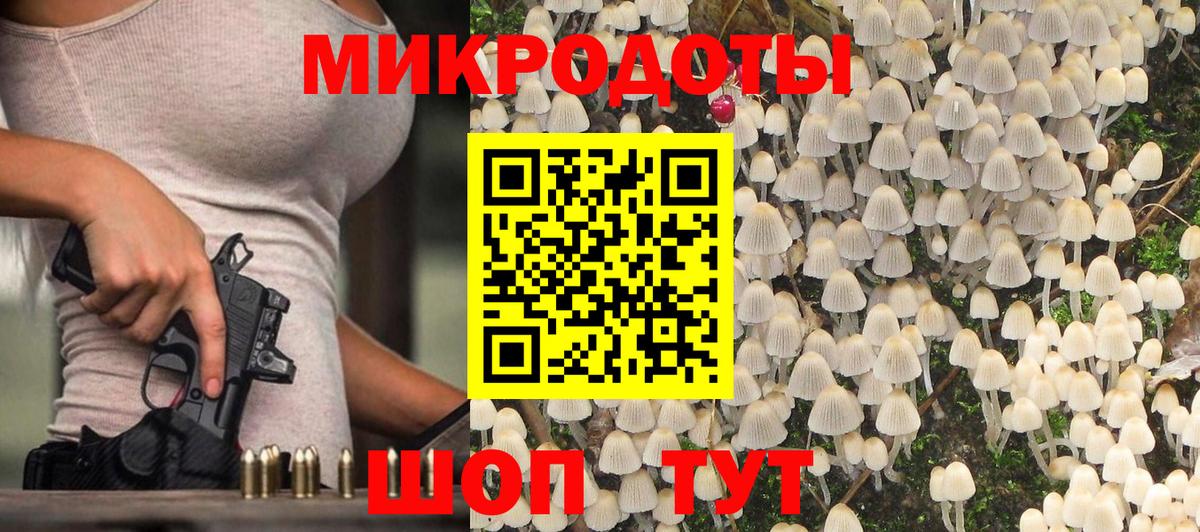 Галлюциногенные грибы GOLDEN TEACHER Курчалой
